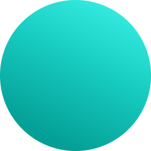 Bruin / Turquoise