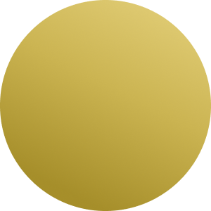 Zilverkleurig / Goud / Zwart
