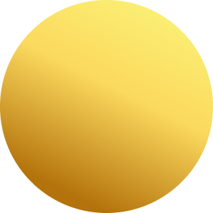 Goud / Zilverkleurig