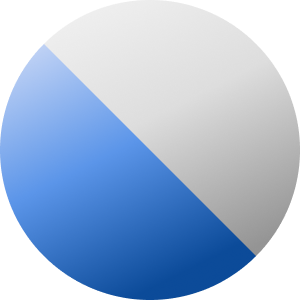 Zilverkleurig / Blauw