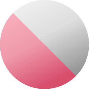 Zilverkleurig / Roze