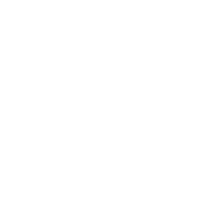 Beginnersplug