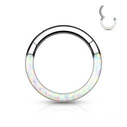 Ring van titanium met scharnier en opaalsteen